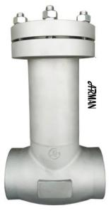 Wholesale ARMAN- Stainless Steel Cryogenic Insulation Check Valve SW Connection from china suppliers