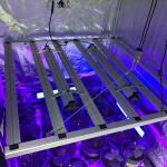 RedFarm 30W Seoul UV 385nm 395nm UVA LED Grow Light LED Bar Osram IR 730nm For