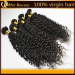 Unprocessed Brazilian Remy Human Hair Extensions , Virgin Deep Wave Hair