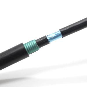 Wholesale FTP Cat6a Armored Anti Rodent Ethernet Cable Up To10 Gigabit from china suppliers