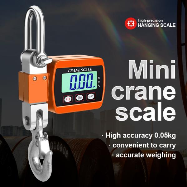 Accurate Weight Measurement Crane Scale with 500KG Capacity LED/LCD Display Heavy-Duty Design and CE ROHS Certification