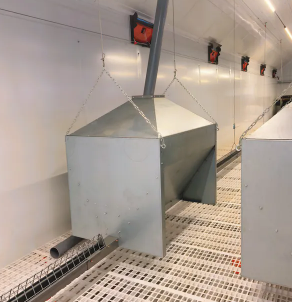 Galvanized Steel Adjustable Height Corrosion Resistant Poultry Feeding System for Broilers