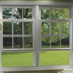 Double Hung Windows With 5 27A 55 9A 5 12A 5 Glass And Stainless Steel Screen