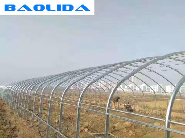 Arch Pipes Reinforced Commercial Polyethylene Film Greenhouse