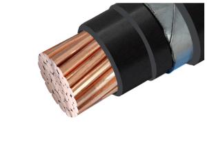 Wholesale Shenghua Group PVC Insulated 0.6/1kV Steel Armored Cable Multi Cores from china suppliers