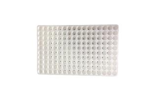 Wholesale 50/120/160/200 Hole Floating Seedling Tray for Soilless Cultivation Of Vegetables from china suppliers