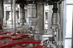 Best Price Automatic Rinsing Filling and Capping Machine Price 5L Water Filling