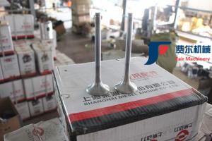 Wholesale WP123003QD Weichai Engine Spare Parts Air Intake Valve 612600050073 from china suppliers
