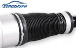 Gas - Filled Air Suspension Shock for Mercedes Benz S430 S500 S55 AMG S600 S -