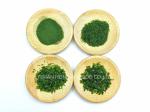 Popular Cuisine Seasoning Aonori Dried Seaweed Powder Fine Texture Bold Flavor