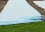 Anti-UV PP Spunbonded Agriculture Non Woven Landscape Fabric Eco-Friendly