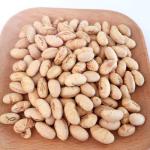 Salted Soaked Yellow Dried Soya Bean Snacks Crispy Taste Rich in High Protein