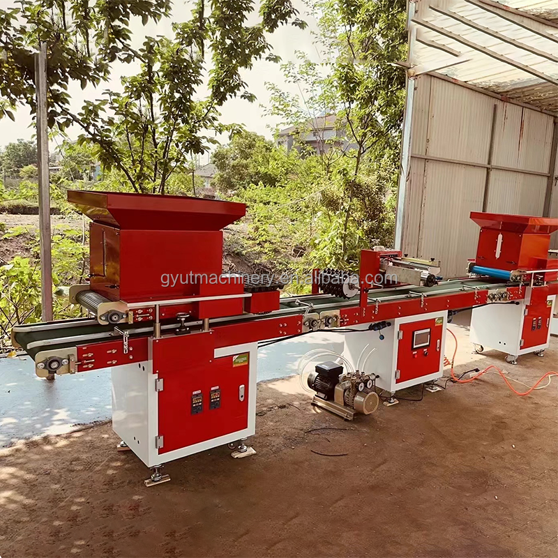 accuracy 10 Rows Vegetable Seeder for Seedling Tray Sowing Machines