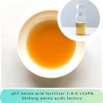 Yellow Enzyme NPK 1-0-0 +5% Calcium Organic Nitrogen Amino Acid Chelate