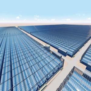 Wholesale Hot Dip Galvanized Steel Photovoltaic Mounting System For Greenhouse from china suppliers
