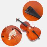 Factory Hot Sale Solid Wood Cello China Hand Made Solidwood classical music Most