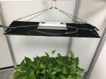 Fashionable Design 240W 360nm Dimmable LED Grow Lights