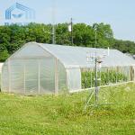 Agricultural Tomatoes Single Layer Greenhouse With 80 Micron Film