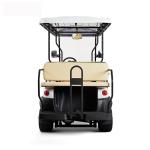 Aluminum Rim 8 Seater Golf Cart , Club Car Golf Buggy With Rear Facing Seat