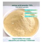 Foliar Amino 70% With Free Amino Acid 65% Agriculture Fertilizer Powder Form For
