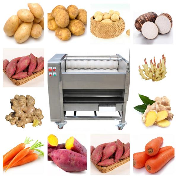 Apple Waxing Cleaning Brush Roller For Food Handing