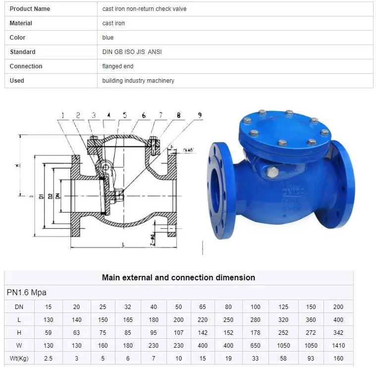 CI/DI/WCB/SS DN250 PN16 Flange End Fire Swing Check Valve with Customizable Port Size