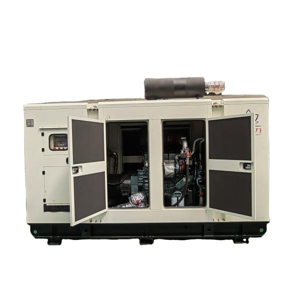 230/400V 300KVA 250kw Super Silent Super sound proof Biogas LPG Biomass Natural