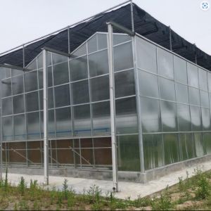 Buy cheap Venlo Dutch Type Multi Span Greenhouse with Hydroponic Growing System Agricultur from wholesalers