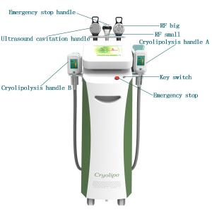 Wholesale High quality and low price Rf Cavitation Zeltiq Cryolipolysis Slimming Machine from china suppliers