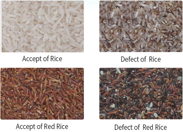 Wenyao High Capacity Rice Color Sorter , 2T/H Grain Sorter Machine
