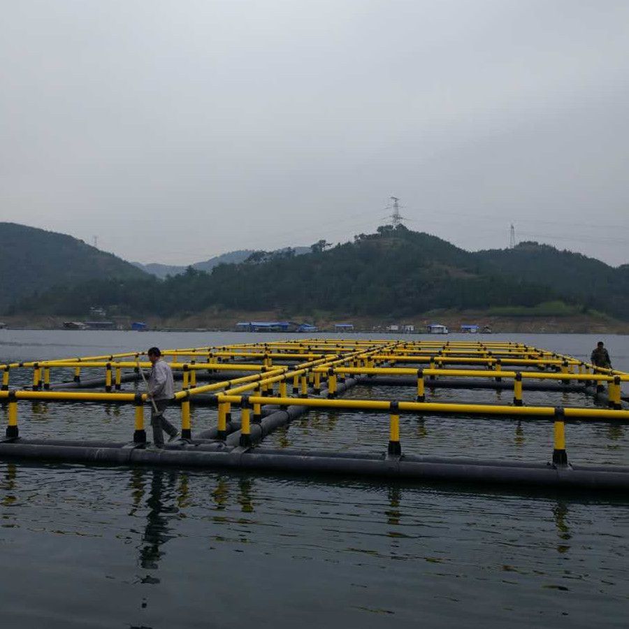 Semi-Open Waters Aquaculture Fish Cages Customized Size
