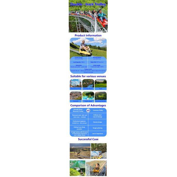Factory Customization Double Track Roller Coaster Large Amusement Equipment