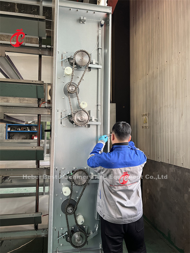 25 Years Lifespan A H Type Automatic Chicken Cage Equipment For Layers Broilers Chicks Star