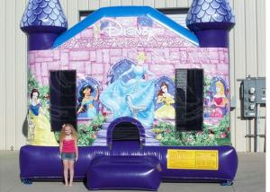 Wholesale Durable Disney Princess 5 In 1 Combo Bouncer Lead - Free Customized Design from china suppliers