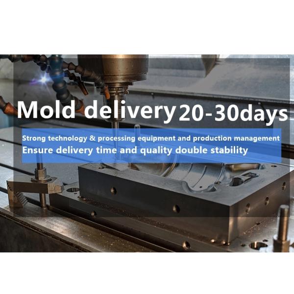 Mould Material NAK80 / S136 / 2316 Customized Plastic Injection Mould