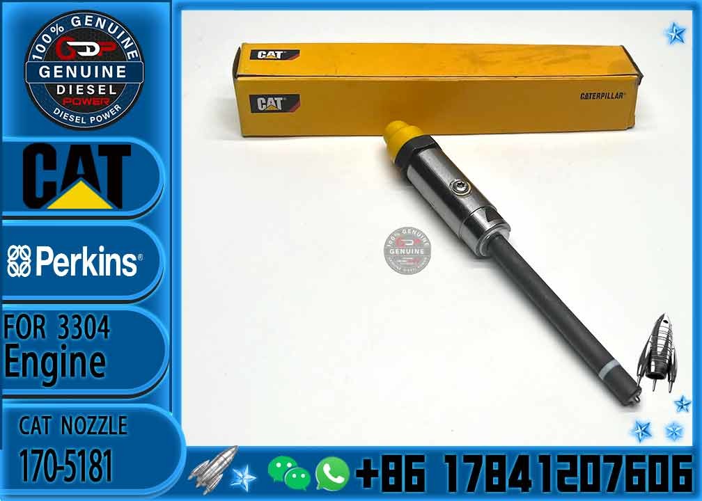 Common Rail Injector 170-5181 0R-3422 7W7026 4W7016 4W7018 7W7032 7W7031 7W7038 8N7006