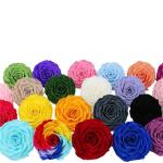 Home Decor Preserved Rose Heads Creative Household Decorative Furnishings