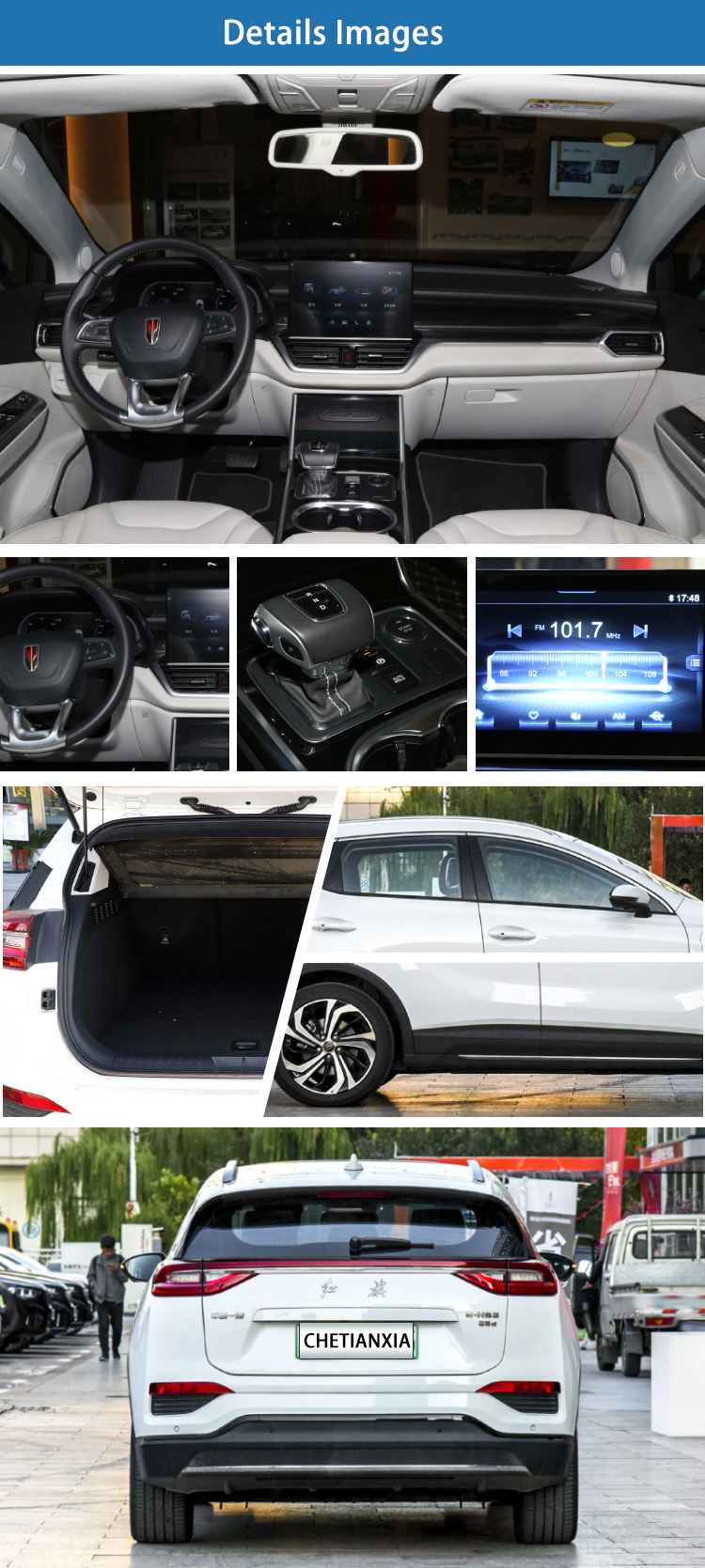 New Energy pure Electric 5 Seater SUV car medium Hongqi E-HS3