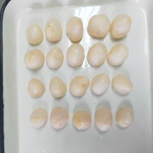 Wholesale Crop Canned Lychee Canned Lychee Fruit In Syrup Whole Broken 567g 580ml from china suppliers