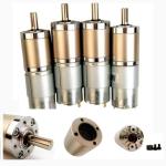 Faradyi Customized Long Life Low Noise Brushless Dc Planetary Gear Motor 12V 24V