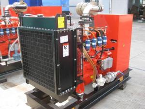 Wholesale 3 Phase Natural Gas Generator , 50kw - 300kw Gas Power Generator from china suppliers
