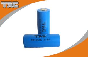 Wholesale Long cycle life LiSOCl2 Battery 3.6V 1900mAh for Computer RAM from china suppliers