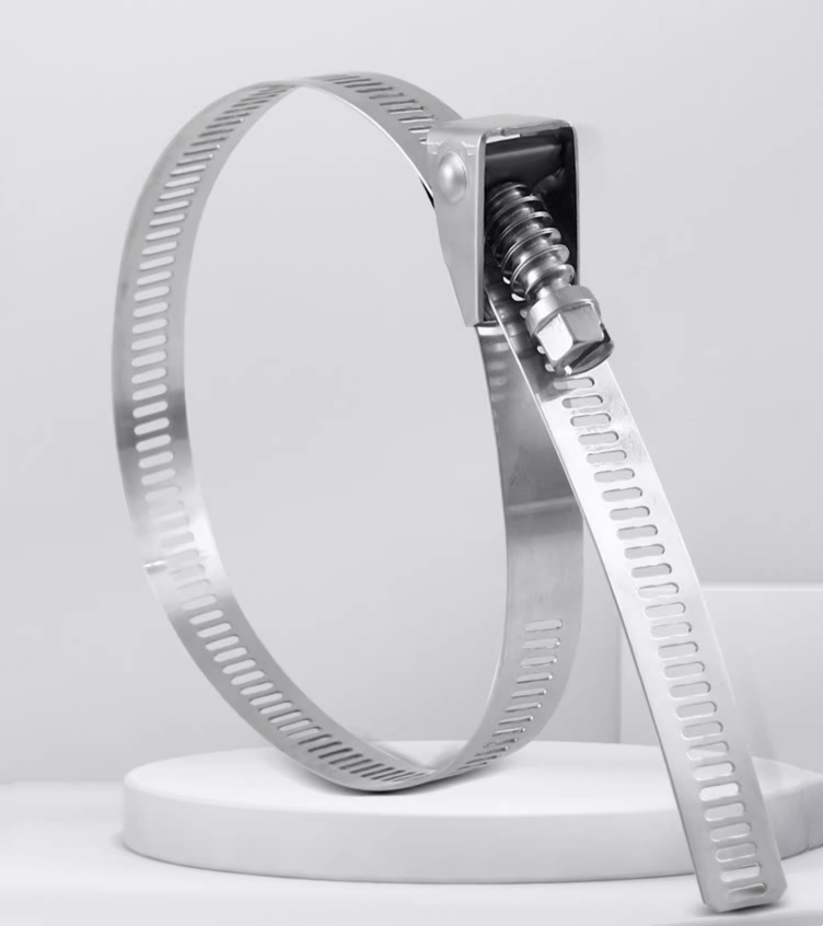 Self-locking Stainless Steel Cable Ties for Heavy Duty Applications 4.6*300mm SS304/316 Fscat