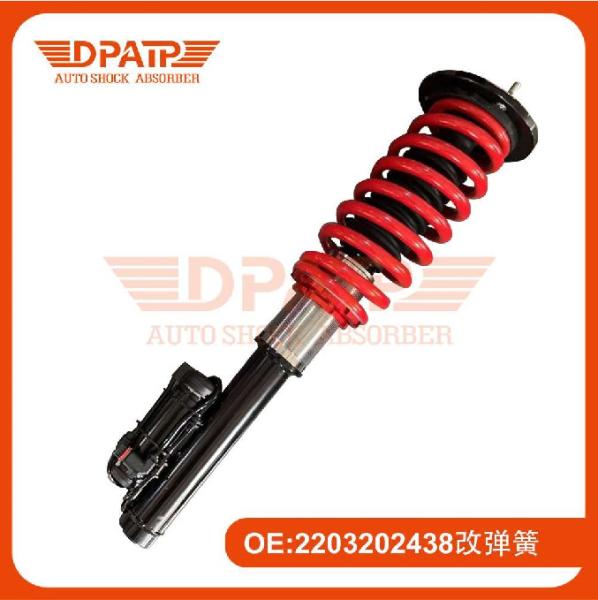 Air Suspension Changed to Coil Over Shock 2203202438 for Mercedes-Benz S Class