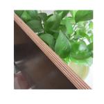 Combi Core 21mm Moisture 13% Exterior Grade Plywood