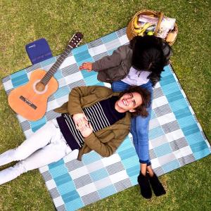 Wholesale Waterproof Sand Free Picnic Outdoor Picnic Blanket from china suppliers
