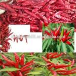 Good Taste Dried Chili De Arbol Mild Dried Red Chilies SHU 5000