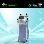 Cryolipolysis Fat Freeze Slimming Machine / Cryolipolysis Machine