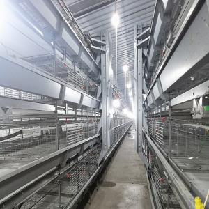 Wholesale 4 Doors q235 H Type Battery Broiler Equipment 3 Layers Poultry Shed from china suppliers