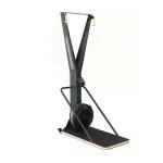 Indoor Fitness Gym Ski Trainer Exercise Machine Body Building 10NW